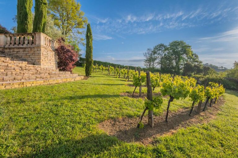 Gentle Gers: French Property News